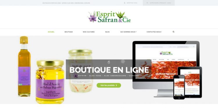 Boutique en ligne-E-commerce-Finistère