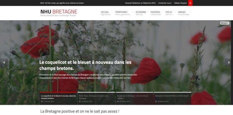 Site internet pour association NHU-Quimper